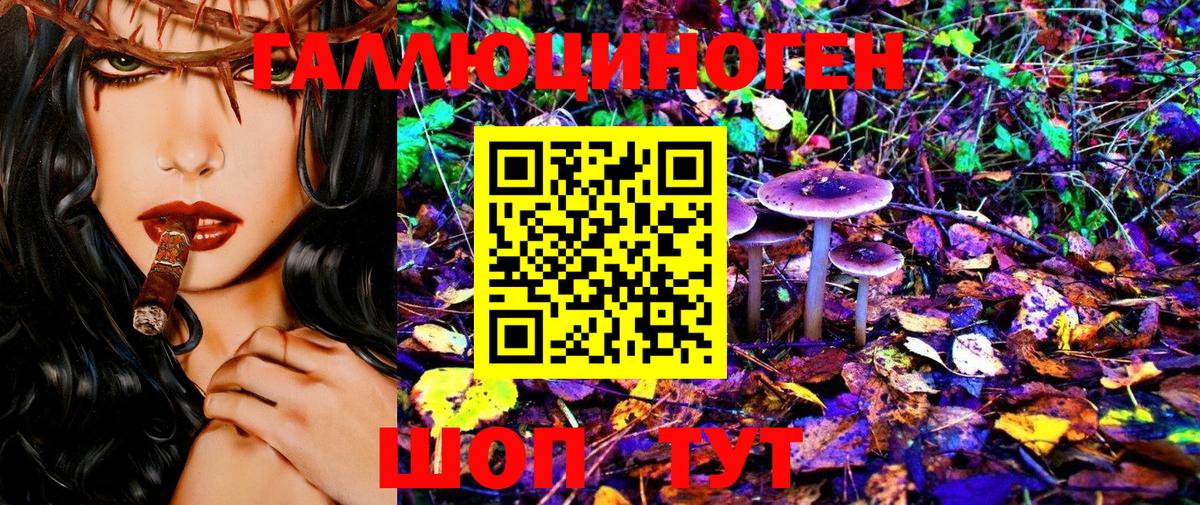 Александров  Галлюциногенные грибы Psilocybe  Вход с VPN 